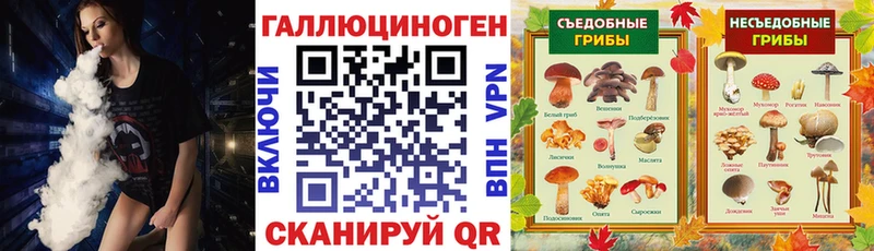 Псилоцибиновые грибы ЛСД Сокол