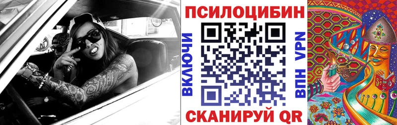 Купить  Сокол  Псилоцибиновые грибы мицелий 
